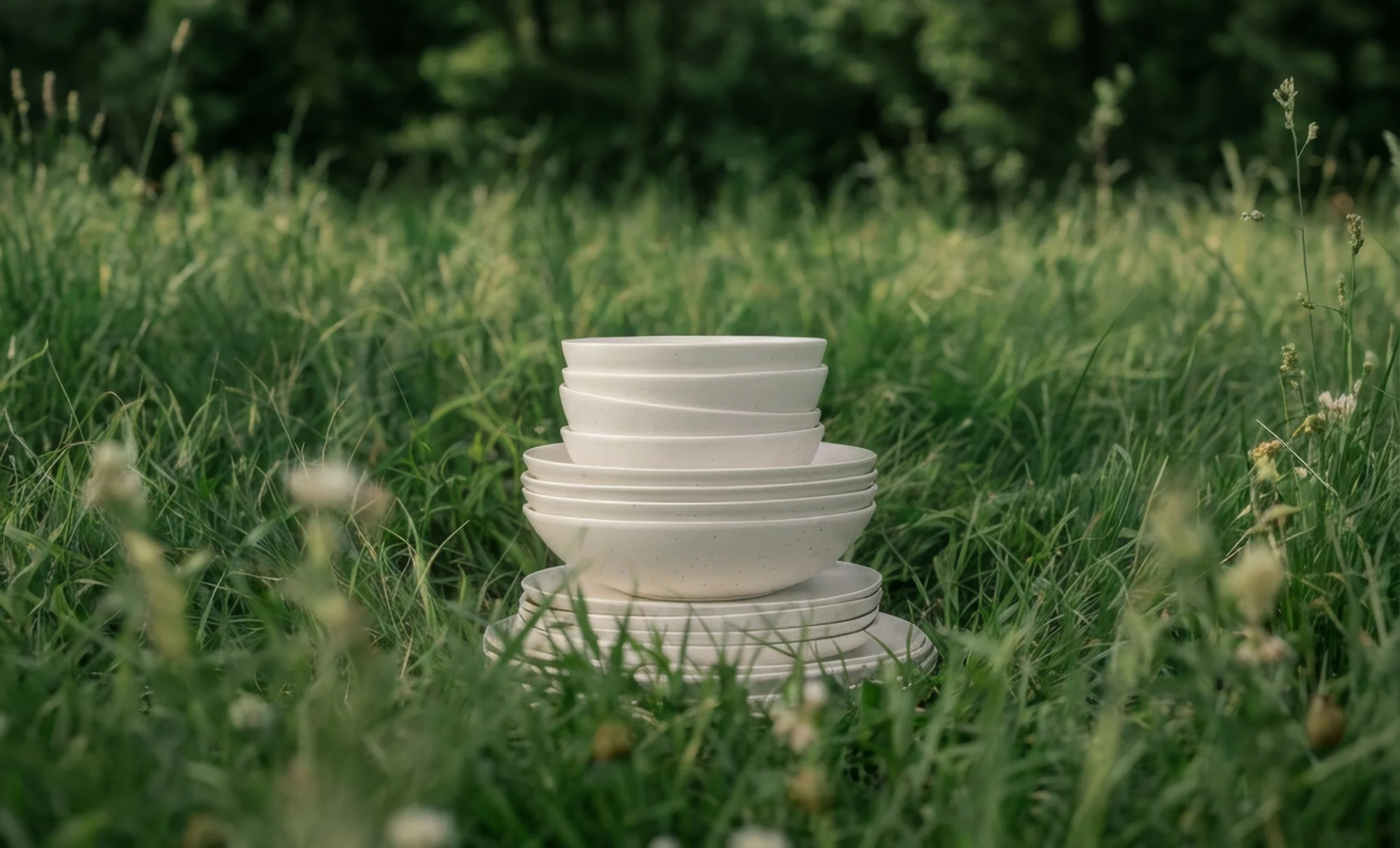 Elevate Every Mealtime Moment